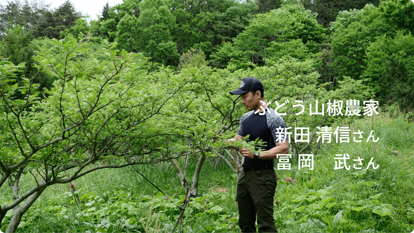 ぶどう山椒農家 新田清信さん 冨岡武さん